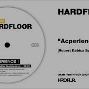 Hardfloor Acperience 1 Robert Babicz Spacefunkmix