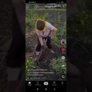 Купим Дом Будем Шашлыки Жарить