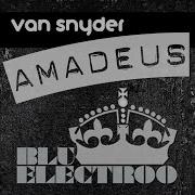 Van Snyder Amadeus