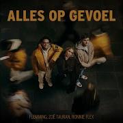 Alles Op Gevoel Flemming