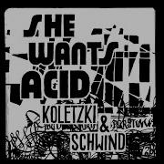 She Wants Acid Koletzki Schwind