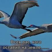 Сл Р Гамзатов Муз Ян Френкель Журавли