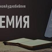 Читаем Библию Вместе Уникальная Аудиобиблия