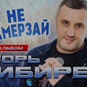Игорь Кибирев Не Замерзай