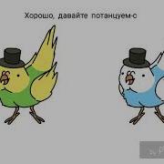 Папуг Удачи Original Meme Чит Опис