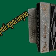 Не Выбирай Красивую Разбор На Гармони