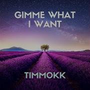 Timmokk Gimme What I Want