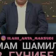 Кавказская Война Имам Шамиль В Гунибе Как Всё Было На Самом Деле