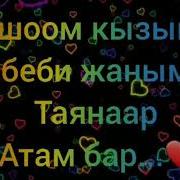 Ата Энем Бар Байлыгым Бир Тууганым Канатым