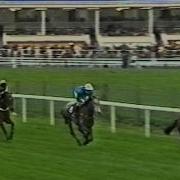 1998 Sandeman Maghull Novices Chase Espmadrid