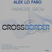 Alex Lo Faro Paradise Grow Giacomo Tosi Remix