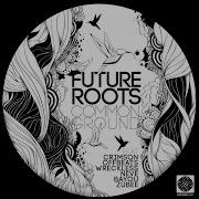 Where Have You Gone Future Roots Offbeats