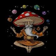 Psychedelic Goa Psytrance Meditation Mushrooms Mix 2021