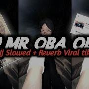 Dj Mr Oba Oba Slowed