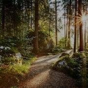 Chill Nature Sound Chillout Music