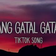 Dj Desa Deyang Gatal Gatal Sa Tiktok Song Gatal Gatal Sa Remix