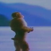 Тыдыщ Тыщ Тыщ Тыдыщ