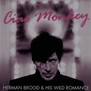 Herman Brood Young