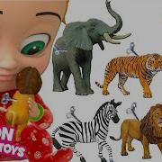 Wild Animals Wrong Kids Matching Nursery Rhymes Lion Tiger Panda