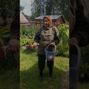 Смешное Видео Бабушка И Грибы