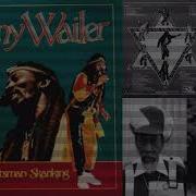 Bunny Wailer Rootsman Skanking Full Album Reggaejazz