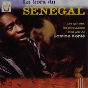 Lamine Konte Gna Terra