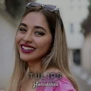 Hamidshax Tulips Original Mix