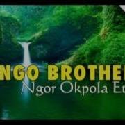 Bongo Brothers