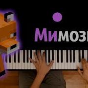 Мимозыря Караоке