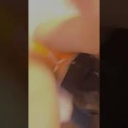 طيز نيك شرموطه في كسها نار