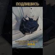 Песня Про Водителей Сво