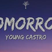 Youngcastro Pharmaceutical