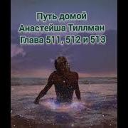 Путь Домой Анастейша Тиллман Глава 511