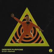 Deeper Purpose Stop Trippin