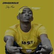 Skay Muzic Dangerous