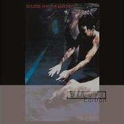 Siouxsie The Banshees Switch