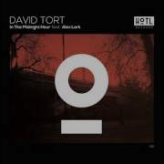 David Tort In The Midnight Hour Feat Alex Lark