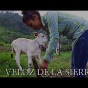 Mujer De Rancho Veloz De La Sierra Veloz De La Sierra