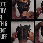 Afrohead Ladybug