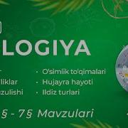 Biologiya 6 Sinf