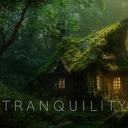 Deep Ambient Version Organic Ambient
