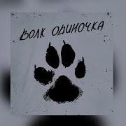 Волк Одиночка Песня
