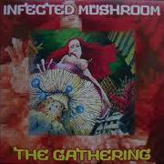 Infected Mushroom The Gathering