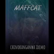 Maffcat Chinokanganwa Idemo Maffcat