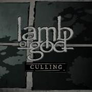 Culling Lamb Of God