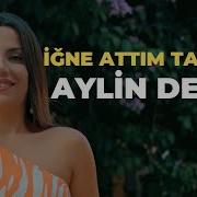 Aylin Demir Igne Attım Tarlaya