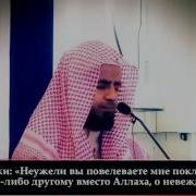 Абу Бакр Аш Шатри Чтение Суры Аз Зумар 53 74