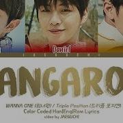 Wanna One 워너원 Triple Position 캥거루 Kangaroo Feat Zico Color Coded Lyrics Eng Rom Han 가사 Jaeguchi