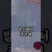 머또 일진
