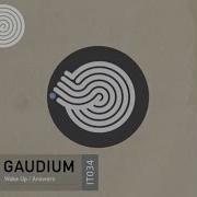 Gaudium Answers